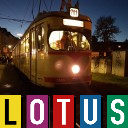 Nikl01as