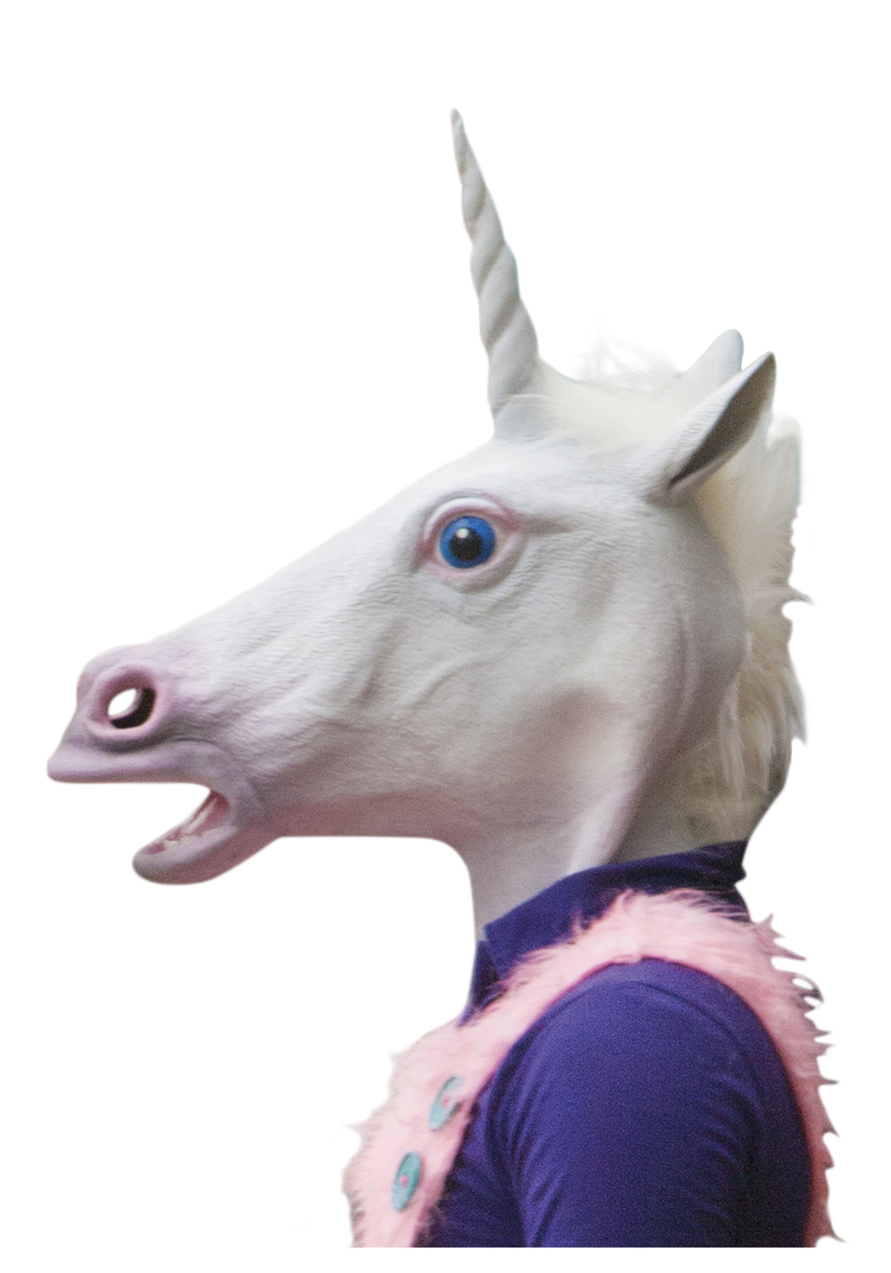UnicornBoy33