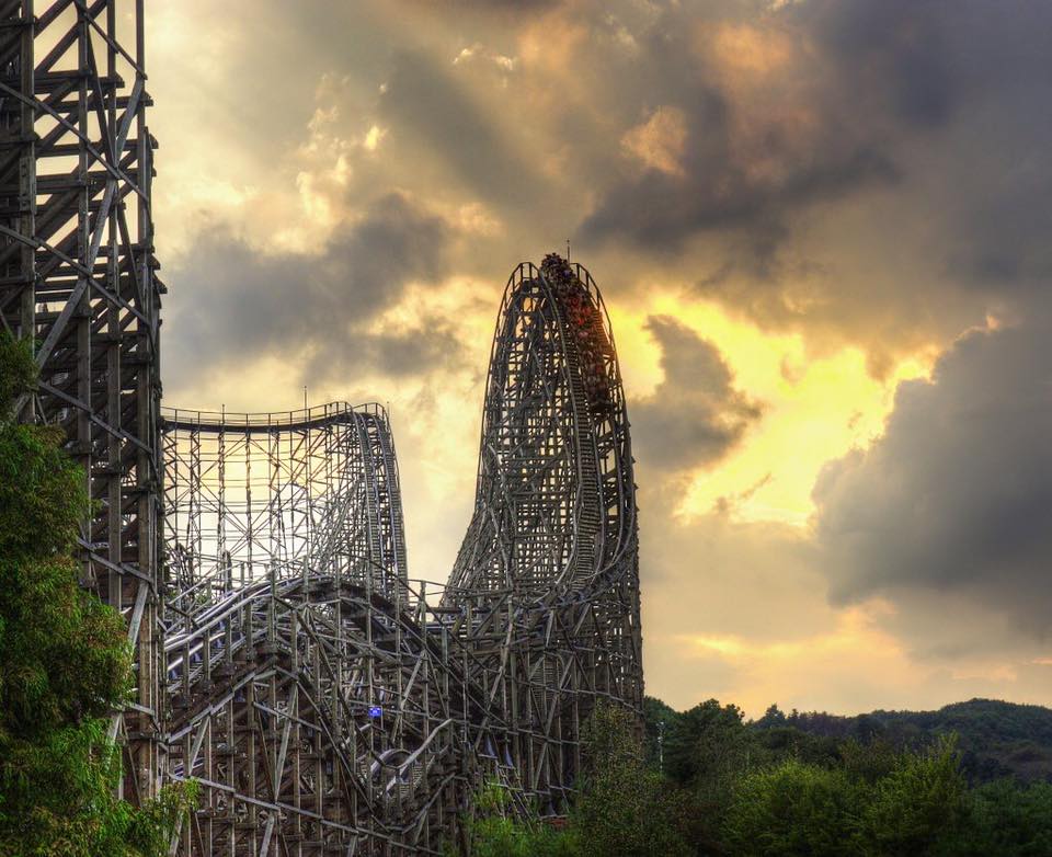 gwazi39