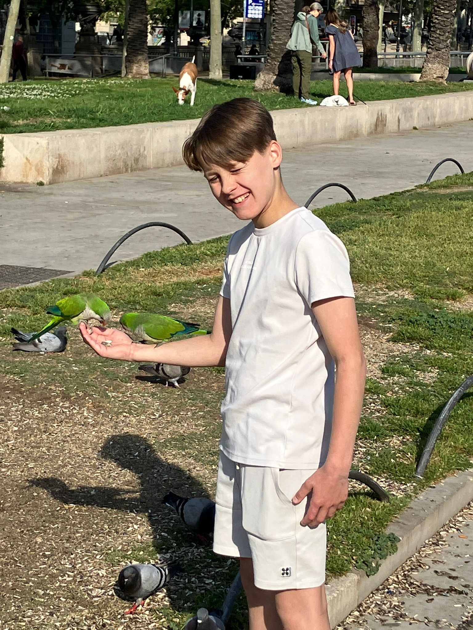 Tijs_951