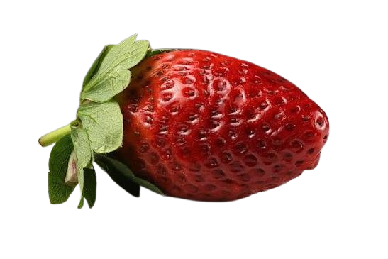 DanielJaquaviusmarkatavius